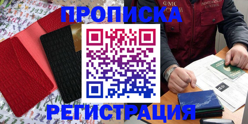 прописка штамп в Сольцах